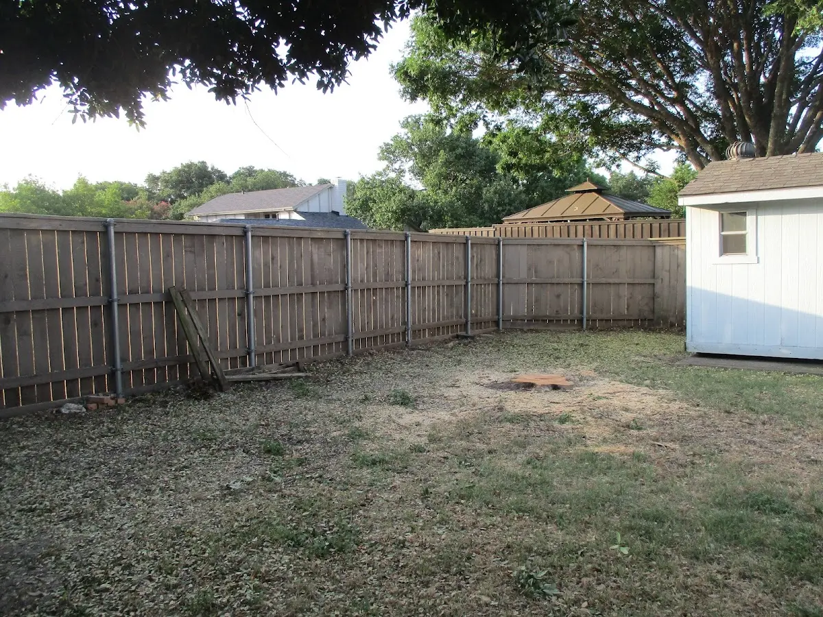 Cleared yard after professional tree removal in Minersville